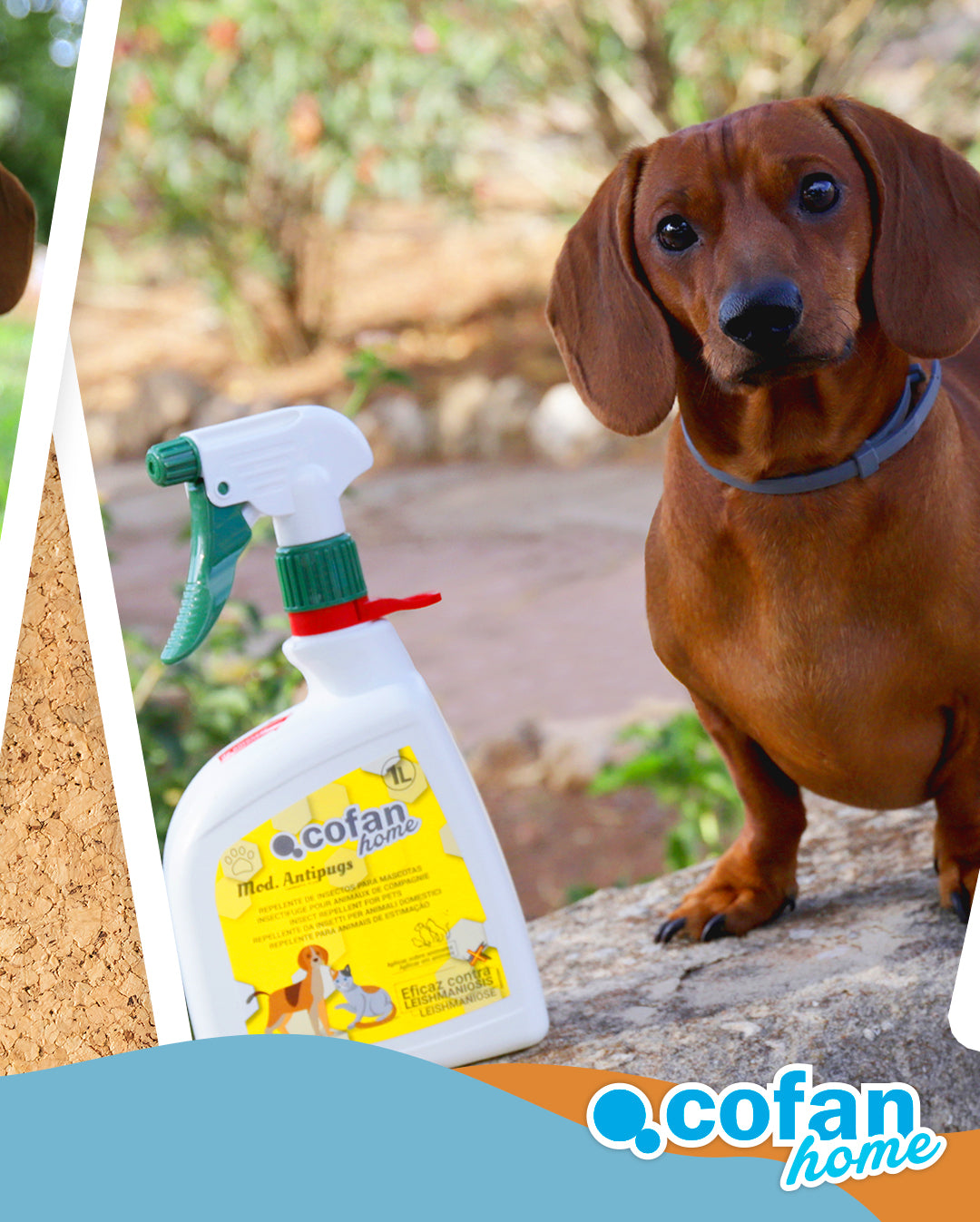 REPELENTE PARA PERROS Y GATOS 750 ML