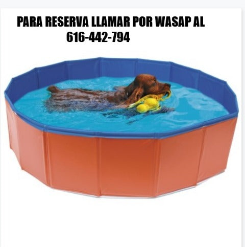 Piscina para perros 120x30cm