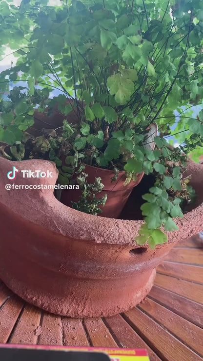 AHUYENTADOR SONORO ESPECIAL PARA PALOMAS